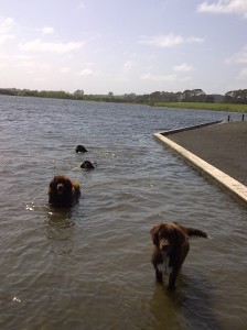 lake weavers 035