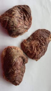 Ovine spleen size