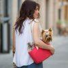 Carry your furbaby with you in Mia Pet Bag