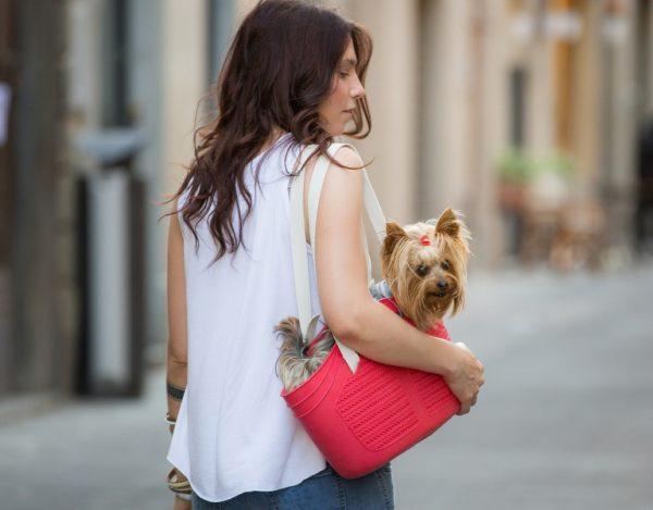 Carry your furbaby with you in Mia Pet Bag