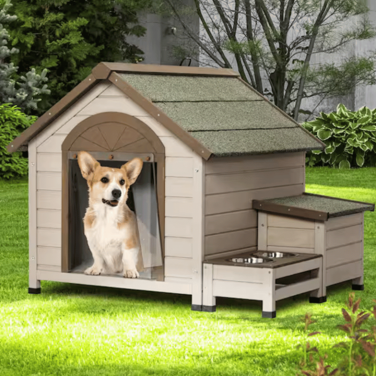 dog kennels nz