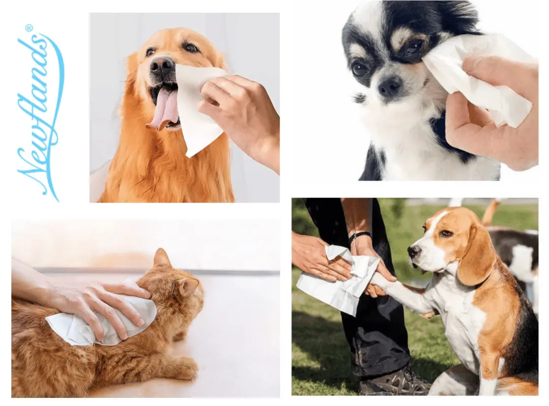 dog wipes