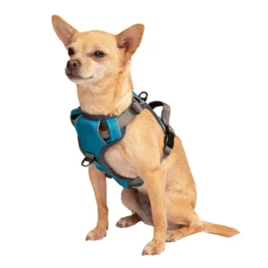 Dog Harness