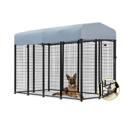 dog kennels nz