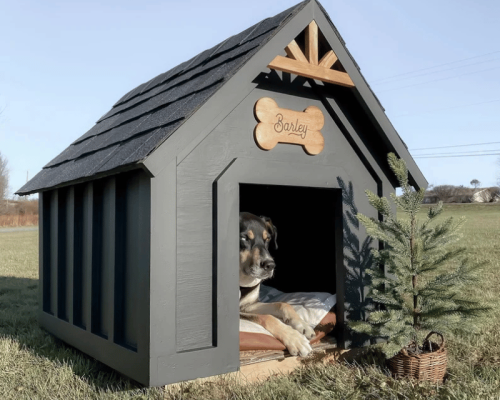 dog kennels nz