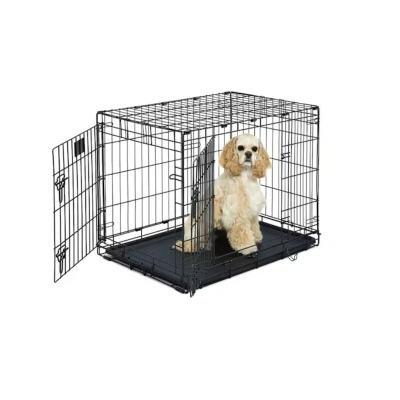 dog kennels nz